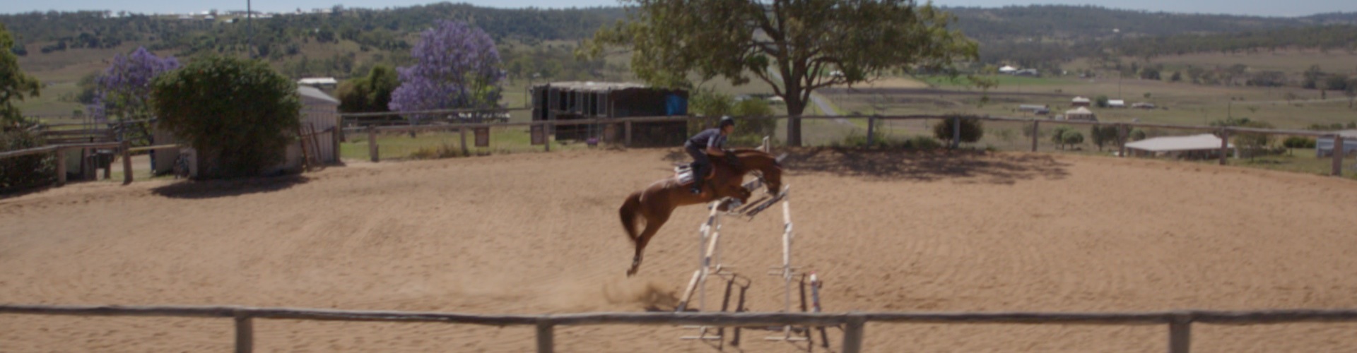 to Proteq Premium Equine Bedding Proteq Equine Bedding