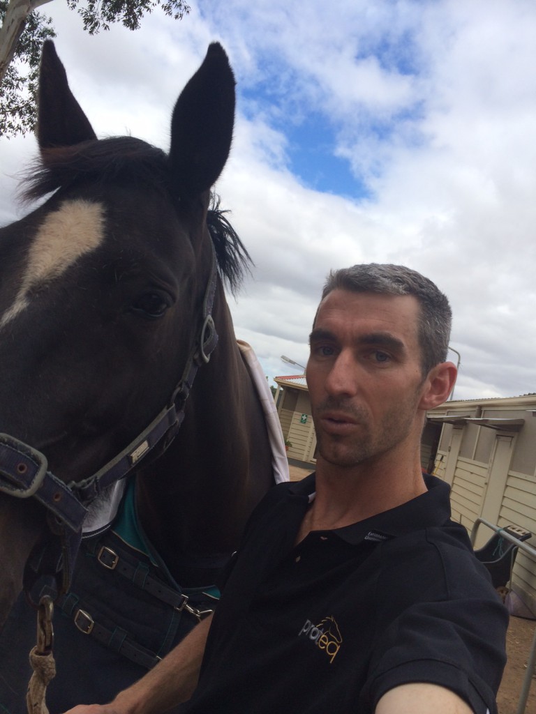 Tom Proteq Equine Bedding