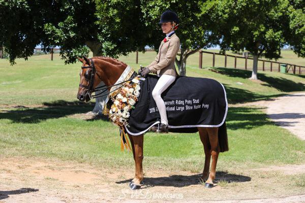 J and R Equestrian – Jess Stalling & Rhys Stones