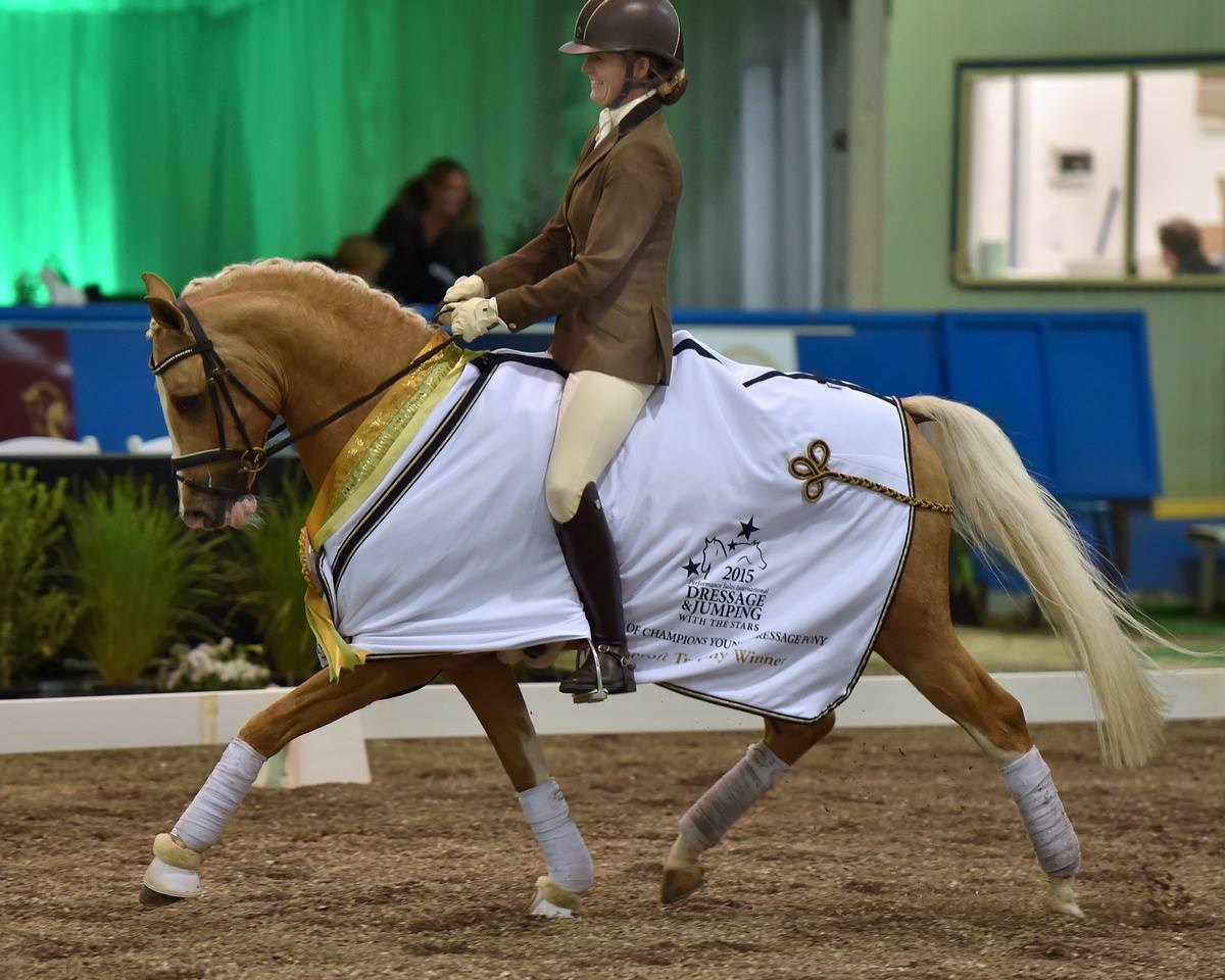 David & Amanda Shoobridge – Revelwood Warmblood Stud